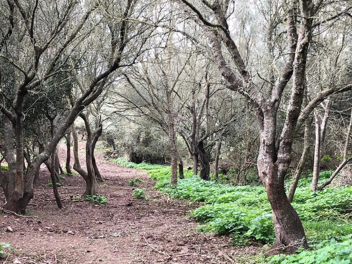 Agroturismo Bini Aumaia Es Mercadal