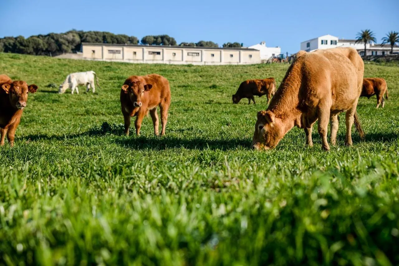 Agroturismo Bini Aumaia Es Mercadal