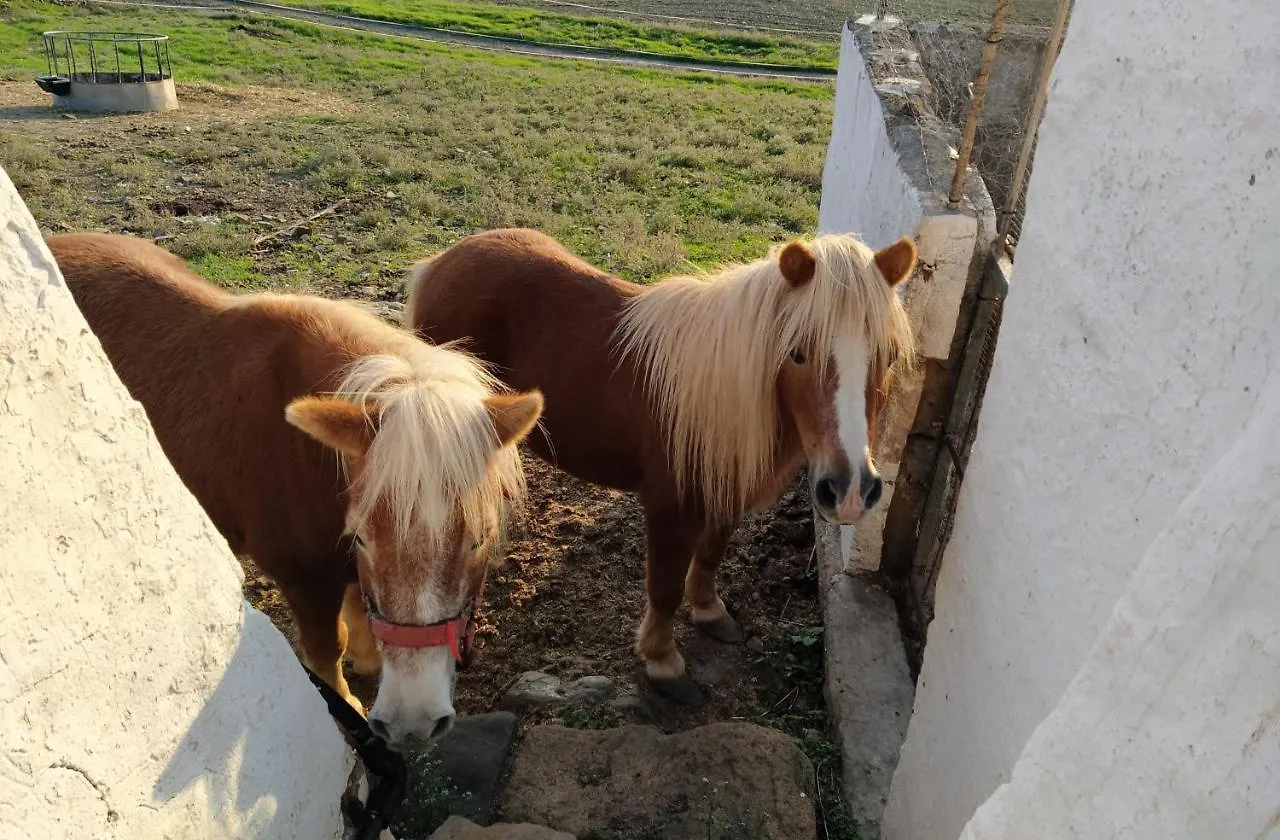 Agroturismo Bini Aumaia エス・メルカダル 0*,  スペイン