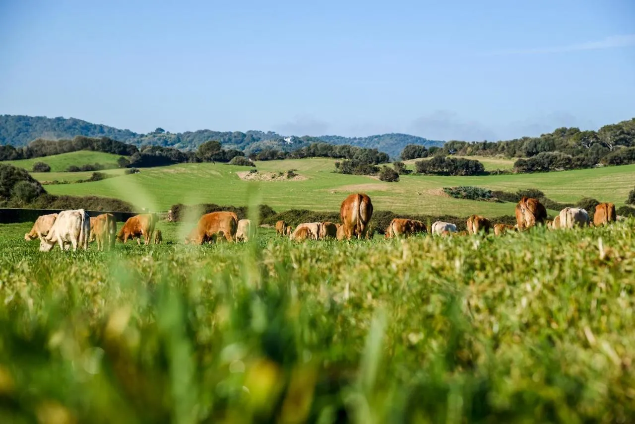 カントリーハウス Agroturismo Bini Aumaia エス・メルカダル